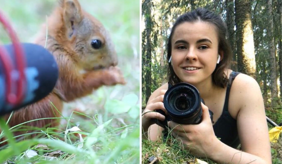 Fotógrafa registra fotos incríveis de esquilos bebês e faz vídeo de cena inusitada