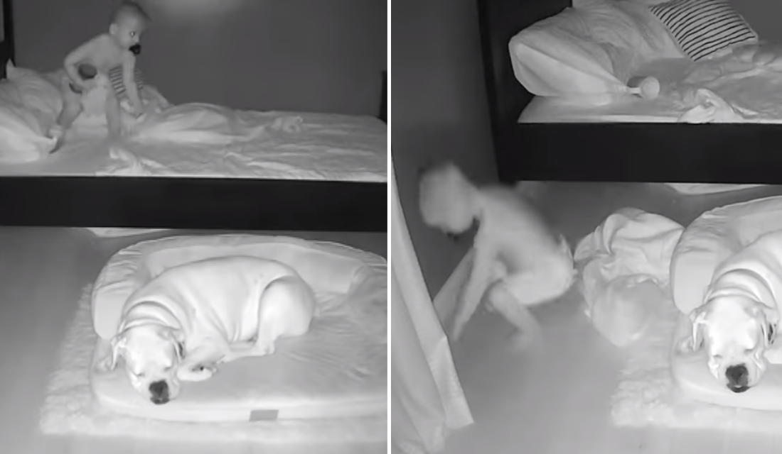 Mãe coloca câmera escondida em quarto de bebê e acaba tendo uma surpresa!