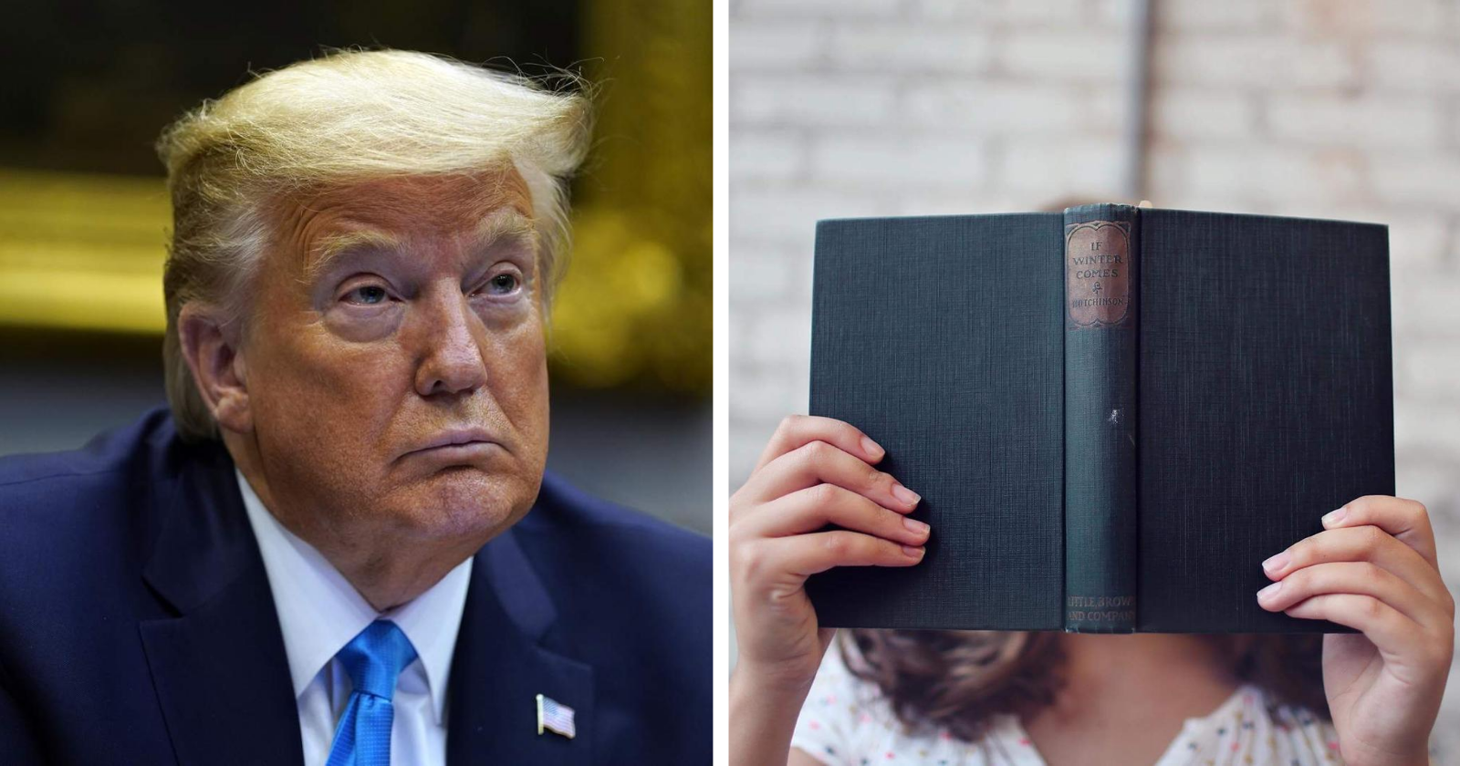 Conheça os livros que tiraram Trump do sério