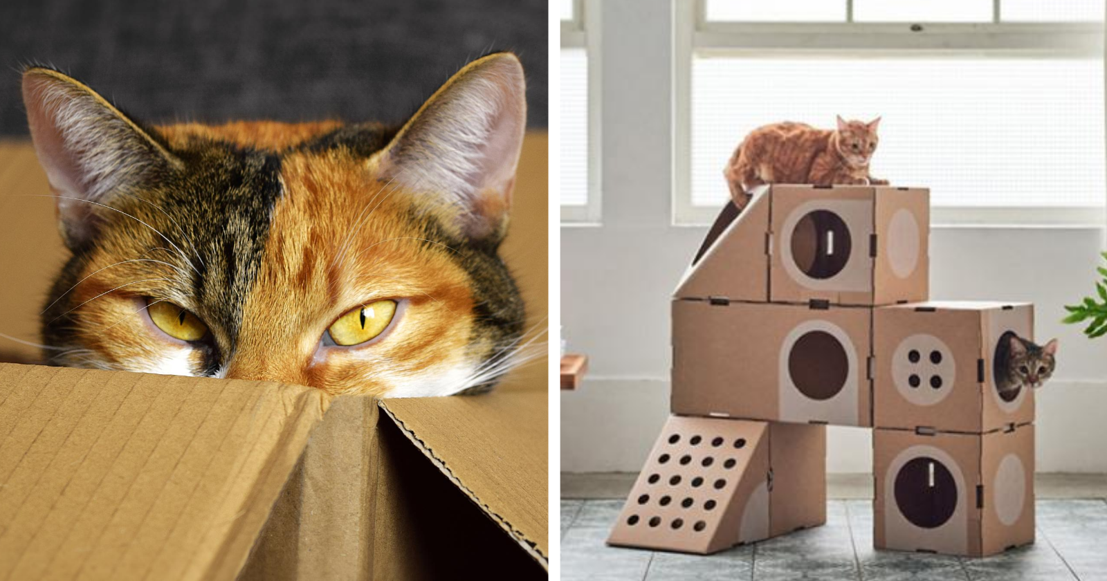 Amazon ensina aos clientes formas simples de criar casas para gatos, com suas caixas!