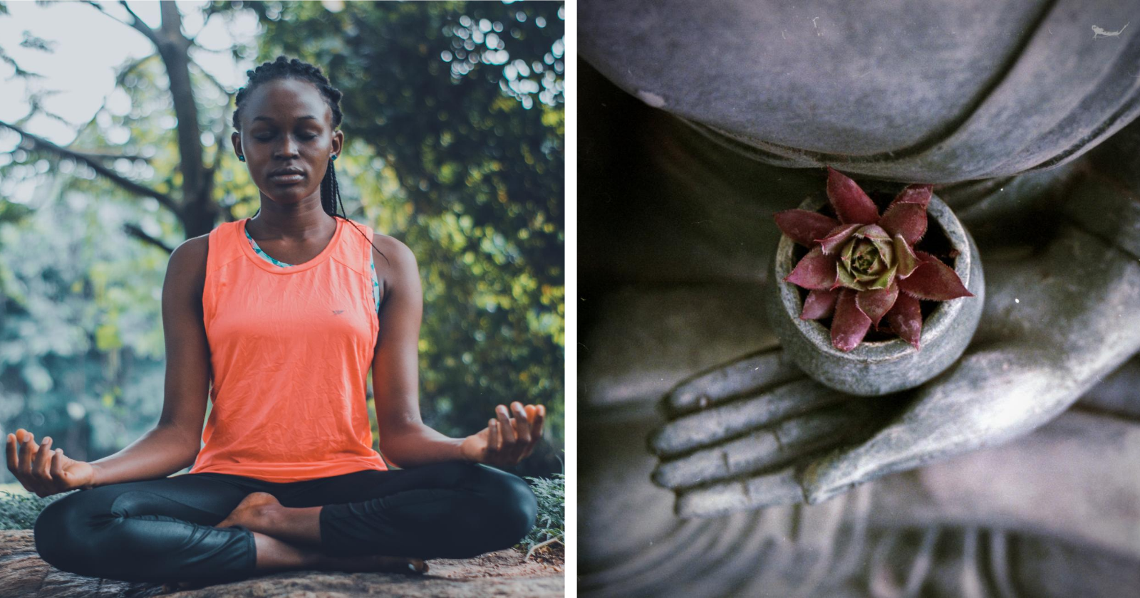 Meditação Vipassana: quando a sua mente e o seu corpo eliminam o sofrimento