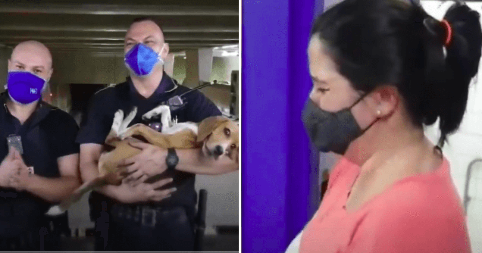 Funcionários param metrô, resgatam cachorrinha que estava desaparecida e a devolvem para dona