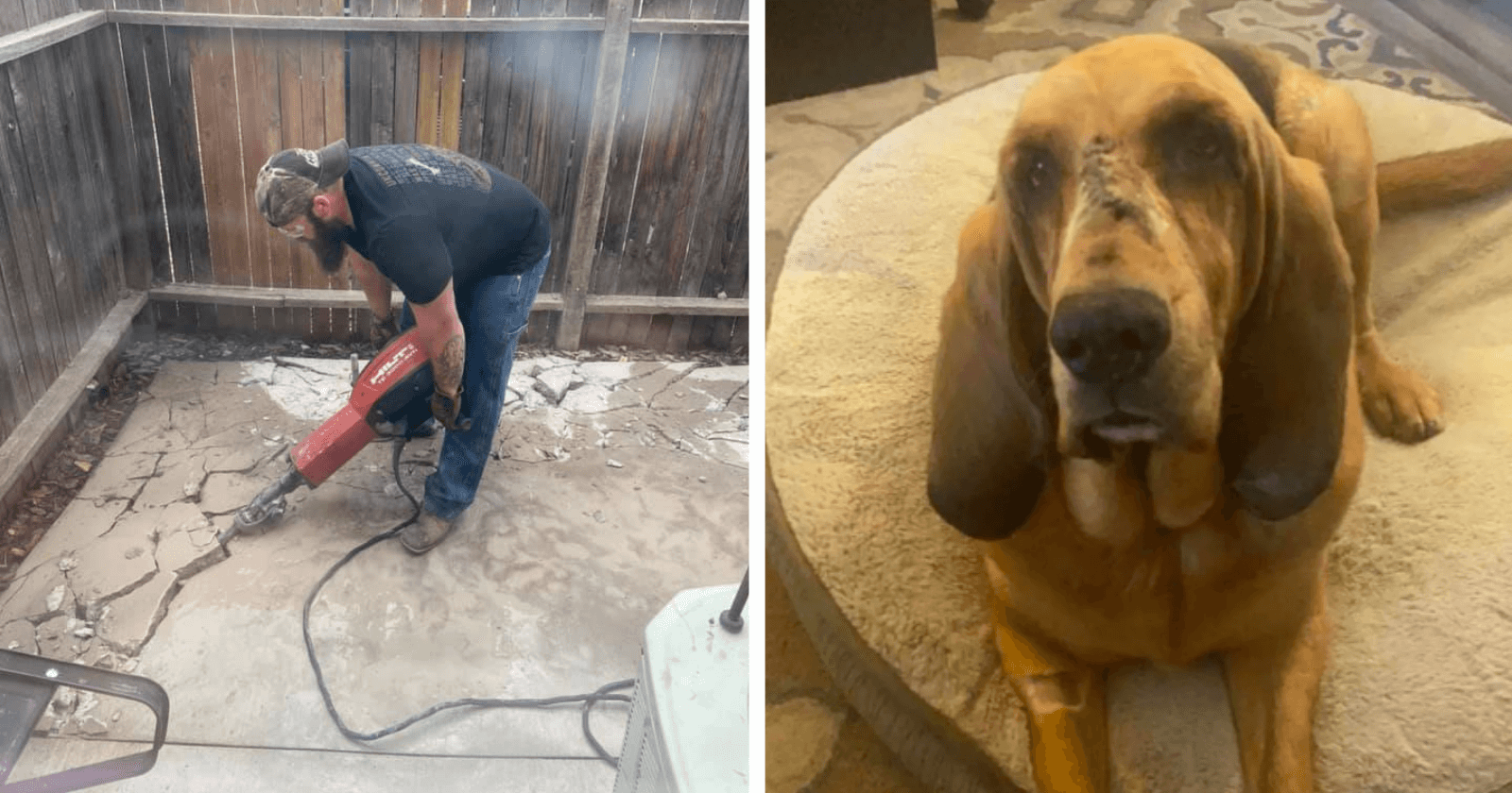 Em trabalho árduo, homem transforma quintal de namorada e reação do cachorro descansar