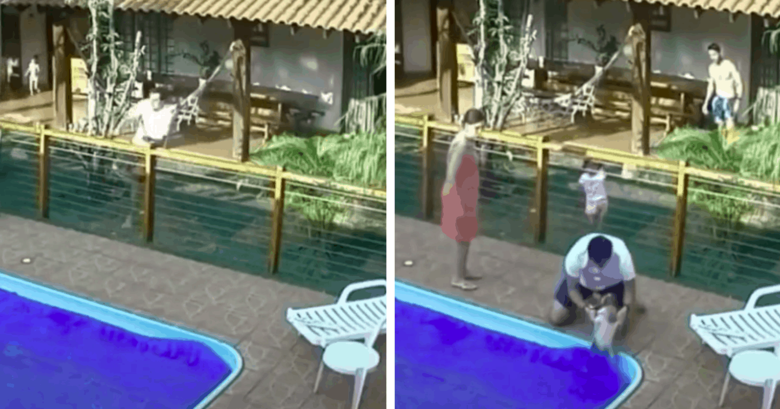 VÍDEO: Câmera de segurança filma resgate de cãozinho na piscina e atitude de homem rende aplausos!