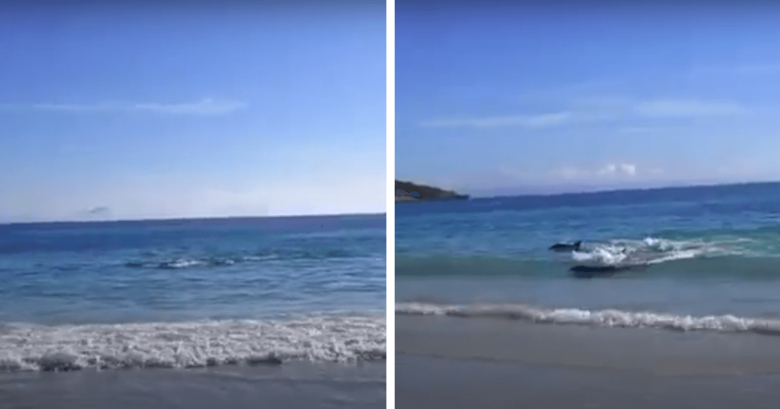 Turista tenta fazer vídeo de mar e por acaso acaba flagrando um momento INCRÍVEL
