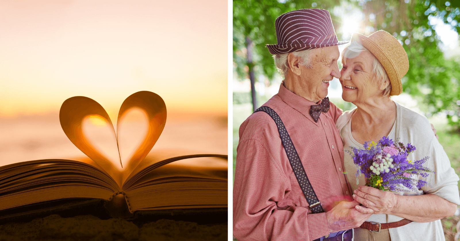 75 Frases para Refletir sobre o Amor: como amar e ser amado?