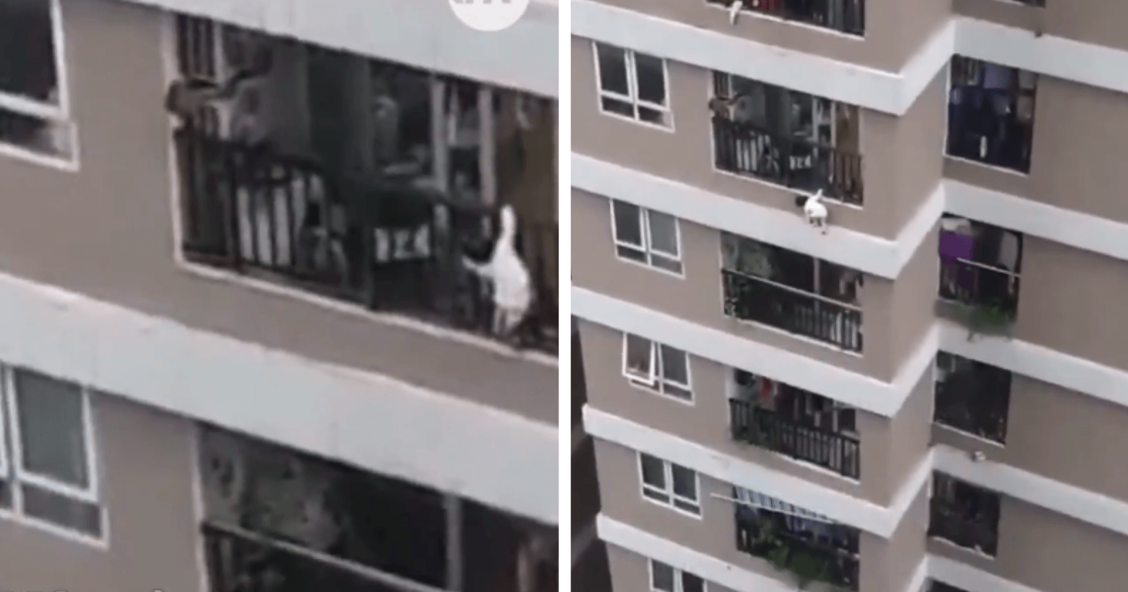 Entregador salva garotinha de 2 anos que caiu da varanda do 12º andar