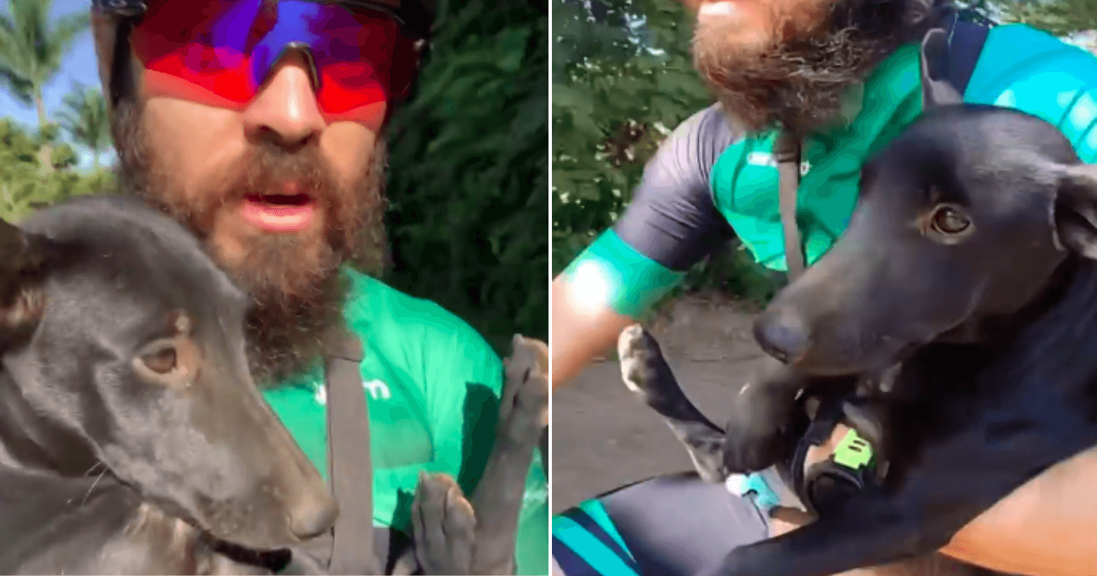 Ciclista encontra cachorro abandonado em trilha e o leva para casa no colo
