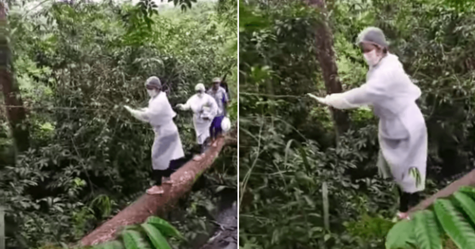 Para vacinar comunidade, enfermeira sobe em tronco de árvore para atravessar riacho