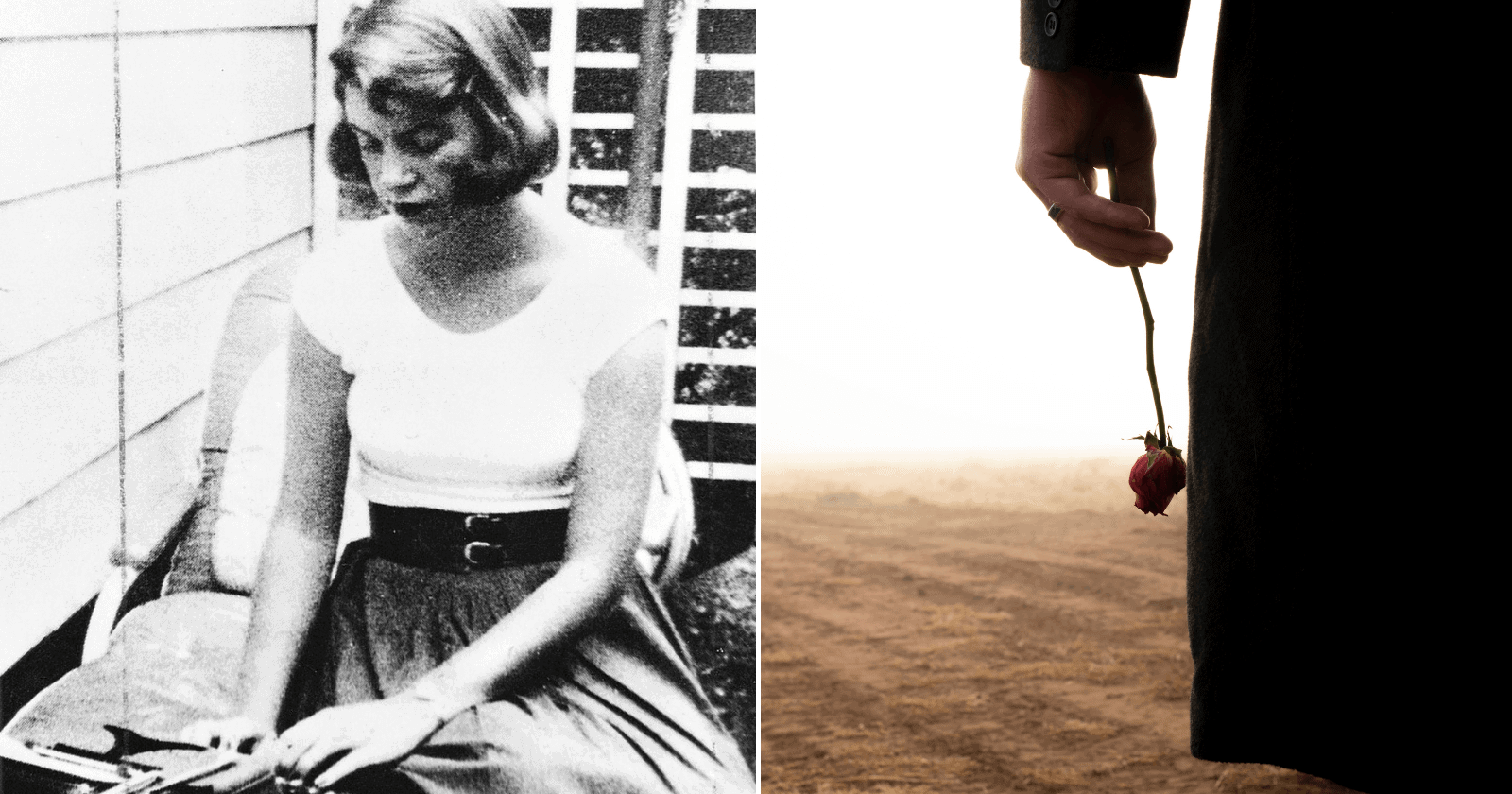 11 poemas da Sylvia Plath que te irão te IMPACTAR com a leitura