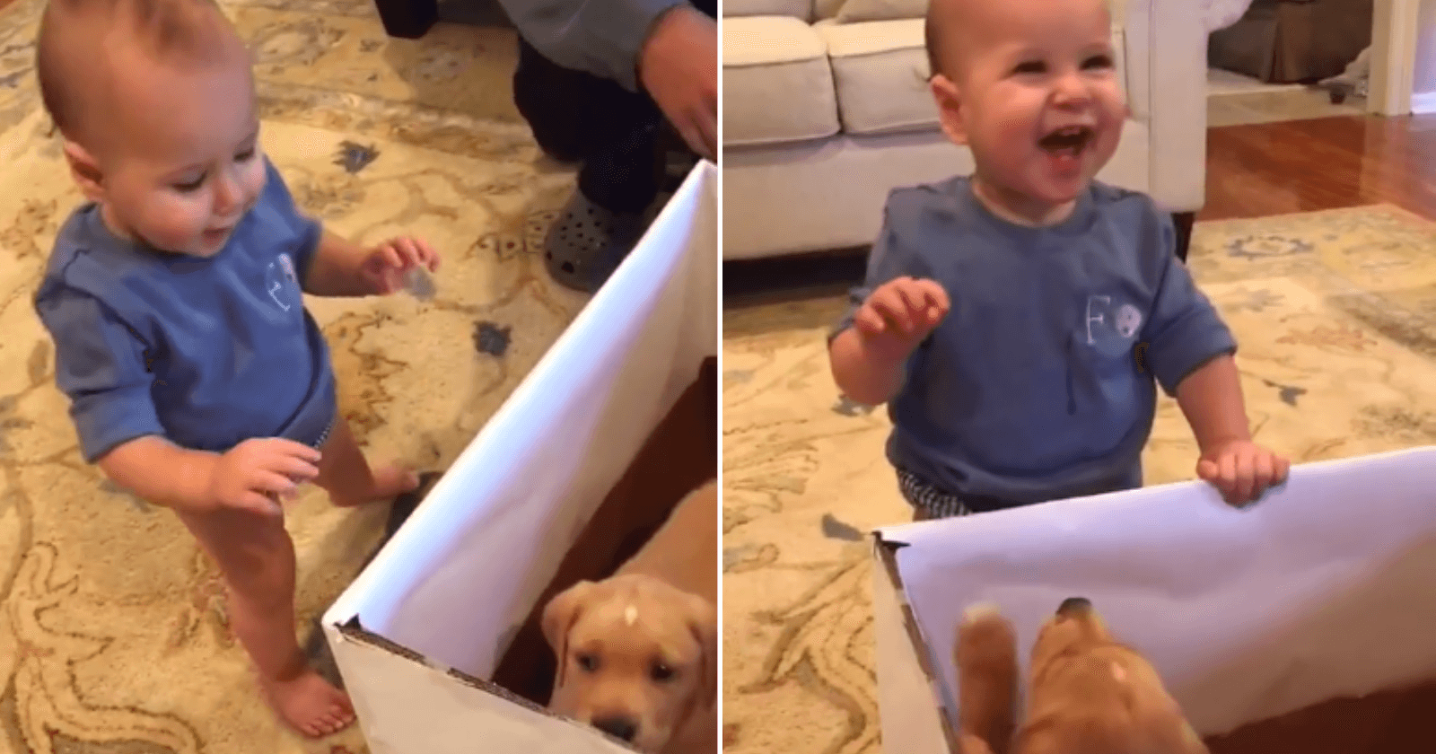 Ao ver seu presente, bebê tem a reação mais doce da web!