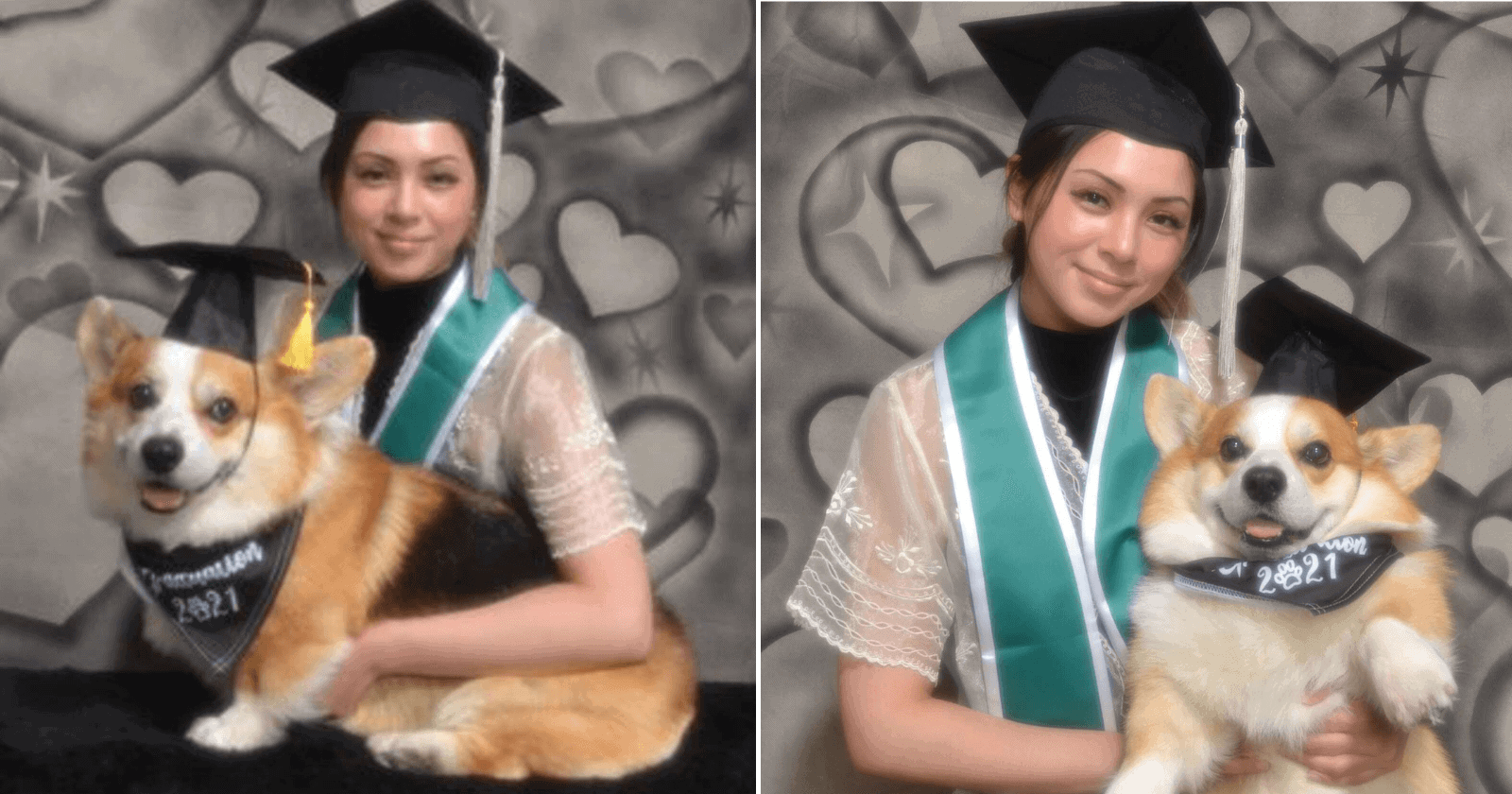 Jovem faz lindas fotos de formatura com cachorro que lhe ajudou a estudar