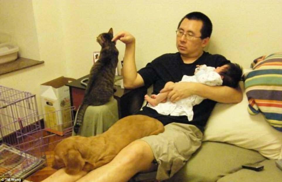 Pai refaz foto com gato, cachorro e filha 10 anos depois