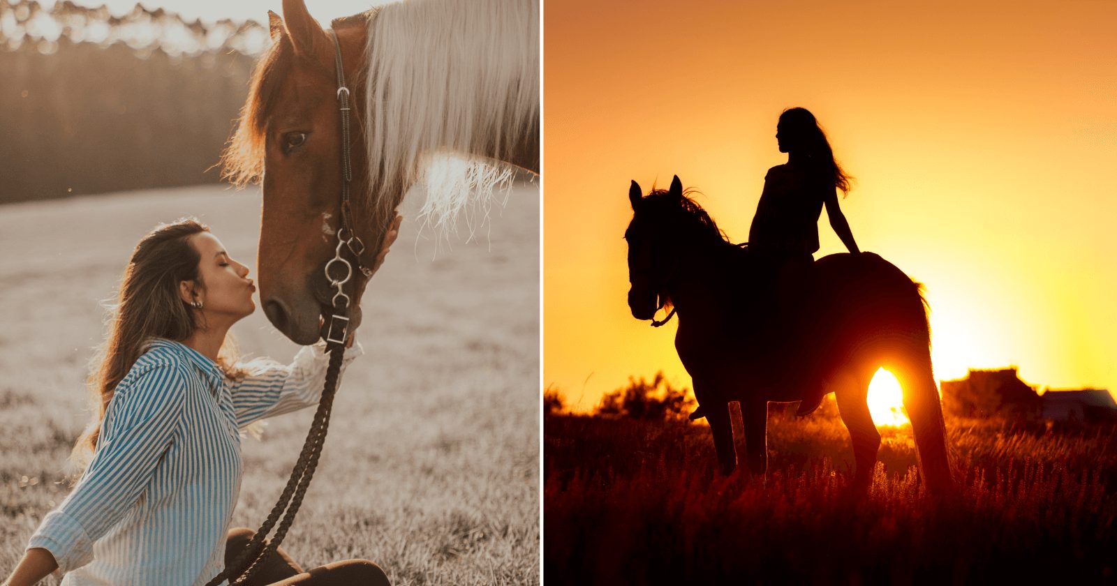 67 legendas para fotos com cavalo: torne o momento mais ESPECIAL
