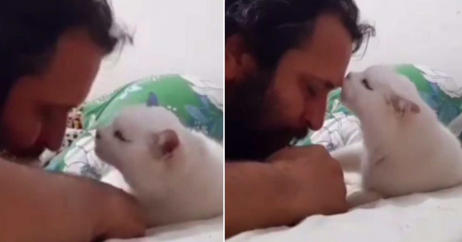 Homem faz vídeo com gatinha de 19 anos e arranca lágrimas