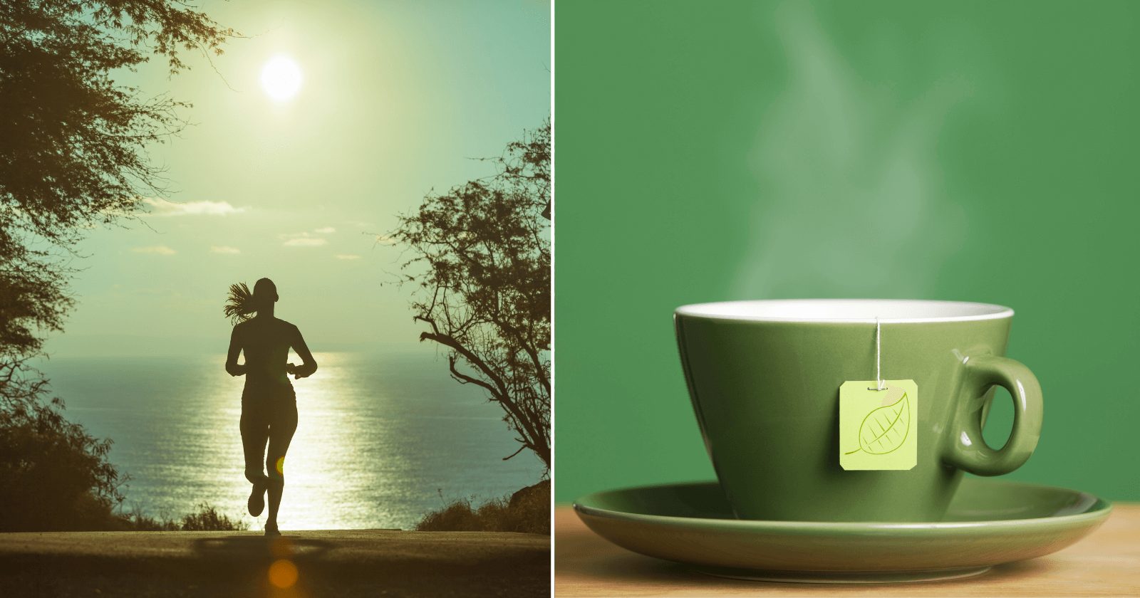 12 chás com cafeína para conseguir ter ENERGIA sem o café