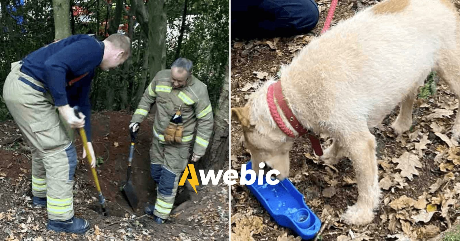 Bombeiros fazem resgate de cachorro preso embaixo da terra