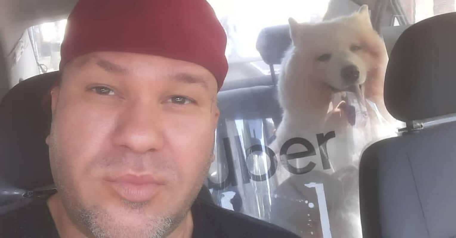 Ao saber que cadela estava sendo levada para eutanásia, Uber intervém e lhe salva