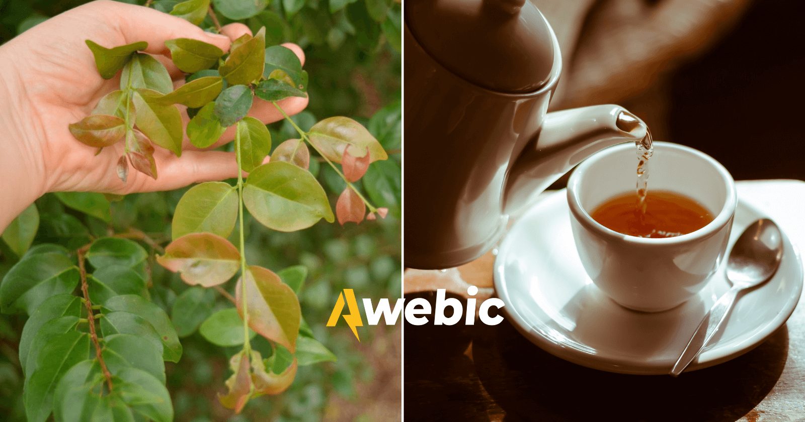 15 benefícios do chá da folha de pitanga que são poderosos e eficazes