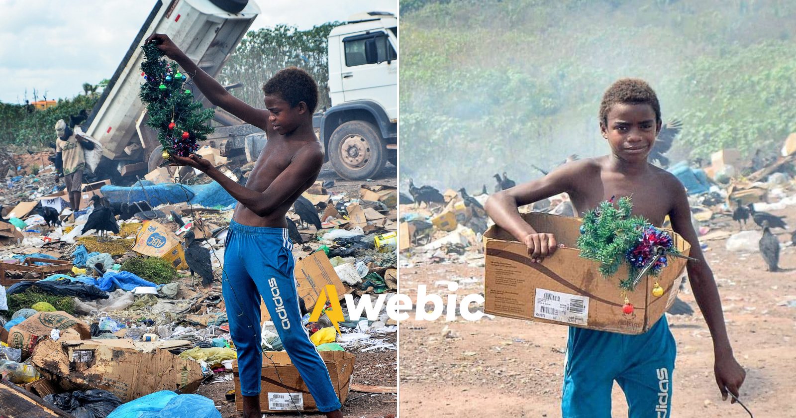 Empresa brasileira faz surpresa para menino da foto com árvore de Natal no lixão