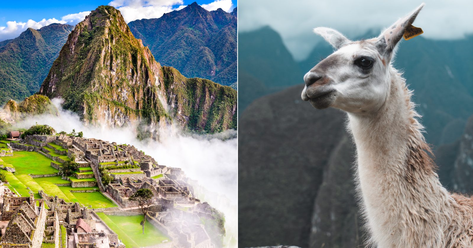 15 razões para viajar a Machu Picchu e ainda sair gastando pouco