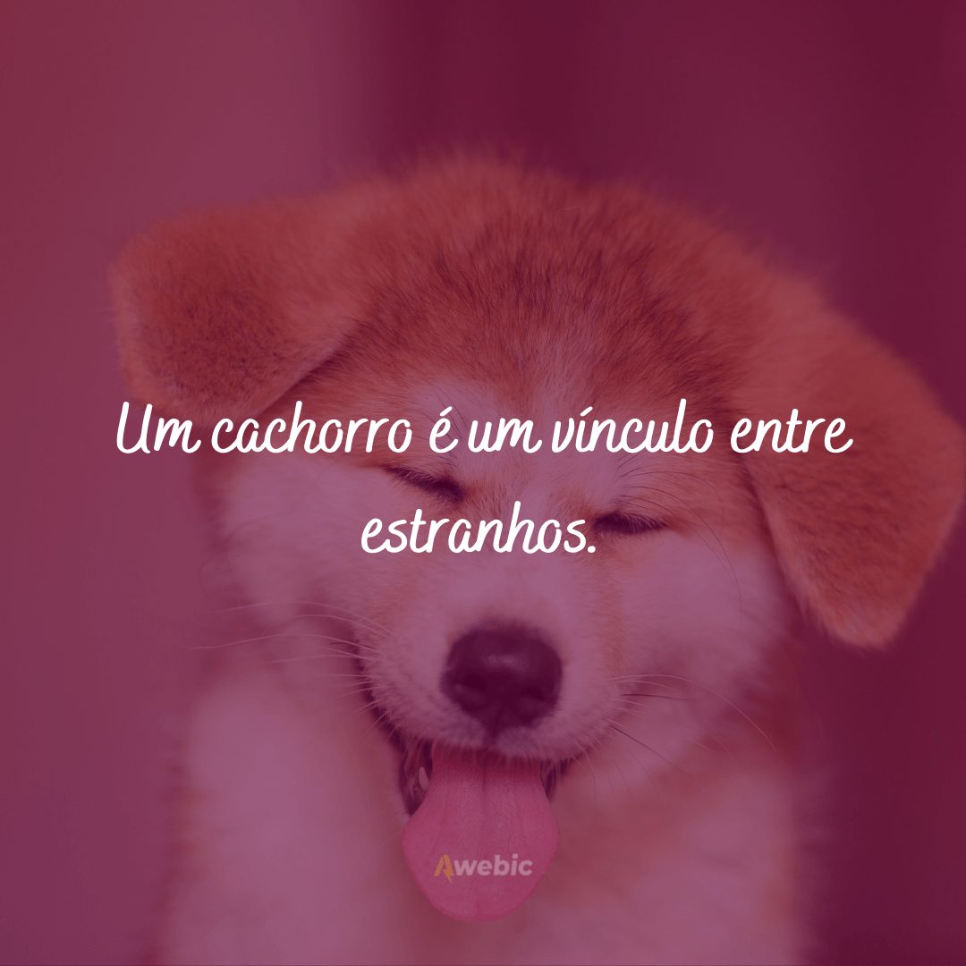 love quotes dog