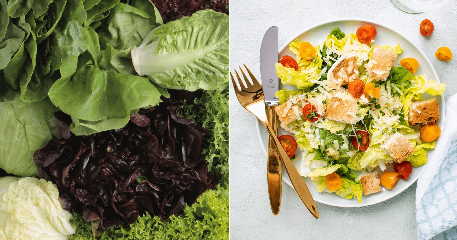 18 benefícios da alface que te farão gostar de uma salada verdinha