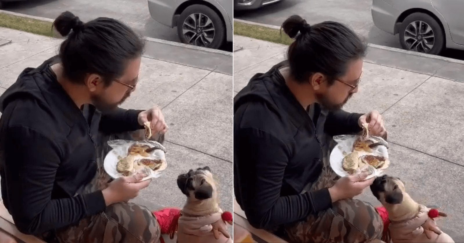 Rapaz come sentado na calçada após cadela ser barrada em restaurante