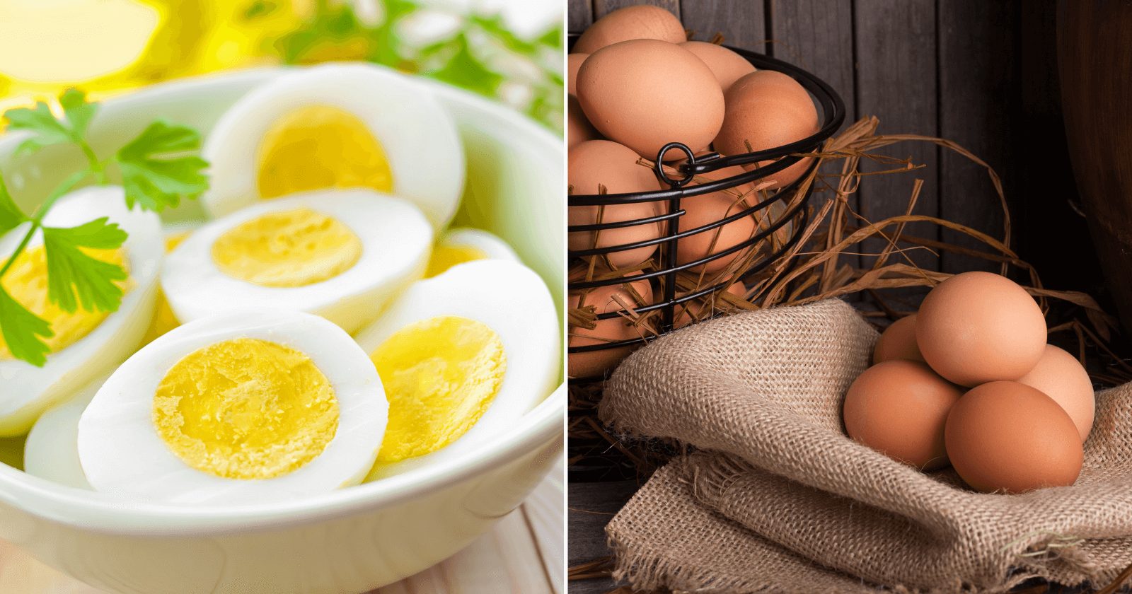 Dieta do ovo: como ela funciona e o que pode ou não comer