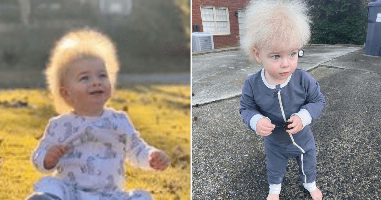 Bebê ganha fãs por seus cabelos serem uma verdadeira explosão de fofura