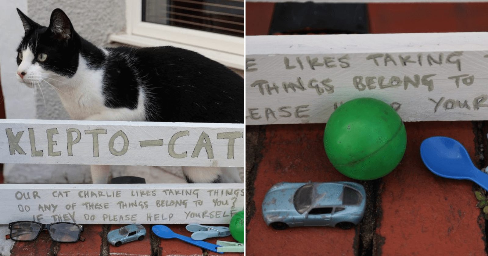 Vizinha monta 'caixa de devolução' para devolver itens roubados por seu gato