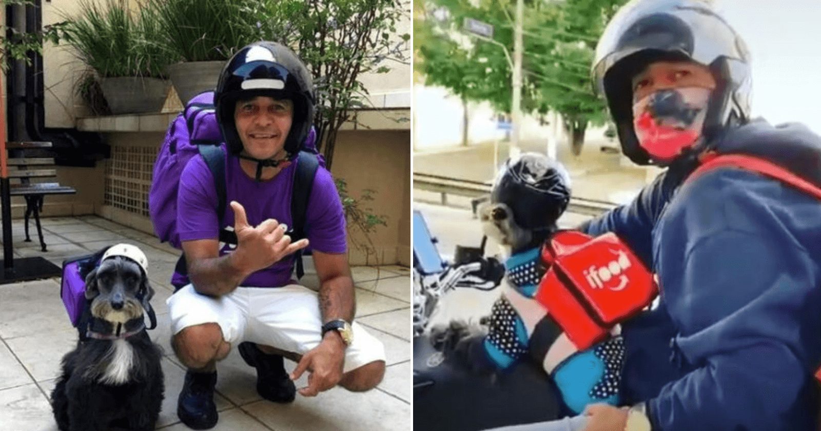 Após ser adotada, cadela faz entregas de moto ao lado do tutor