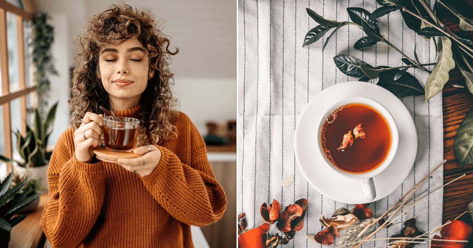 10 benefícios do chá de FUNCHO que principalmente as mulheres precisam saber
