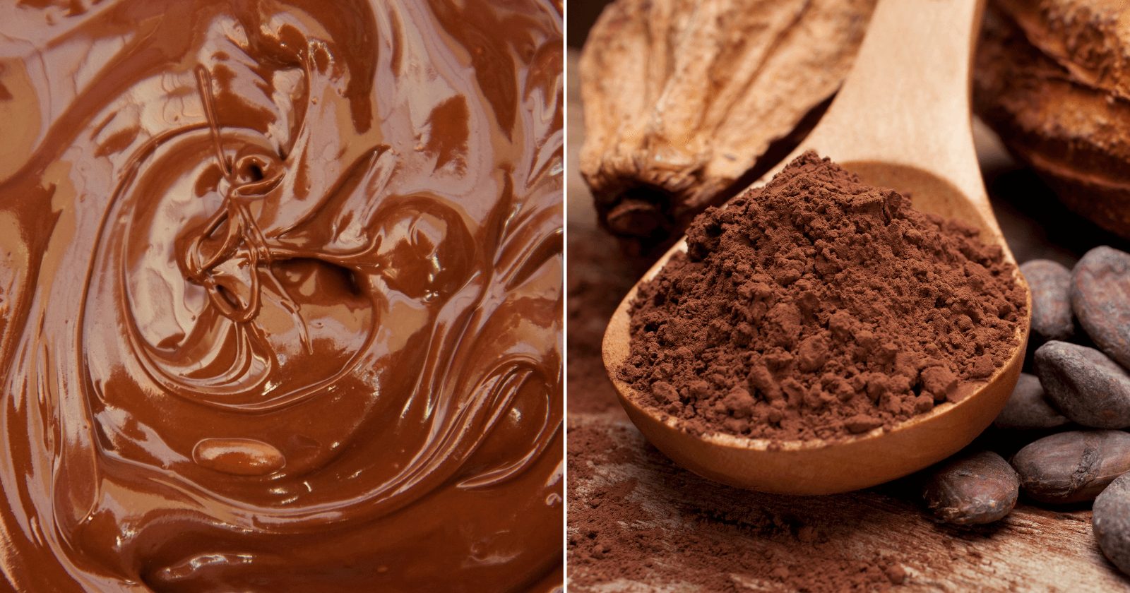 12 benefícios do cacau para saúde que te farão consumir o melhor chocolate