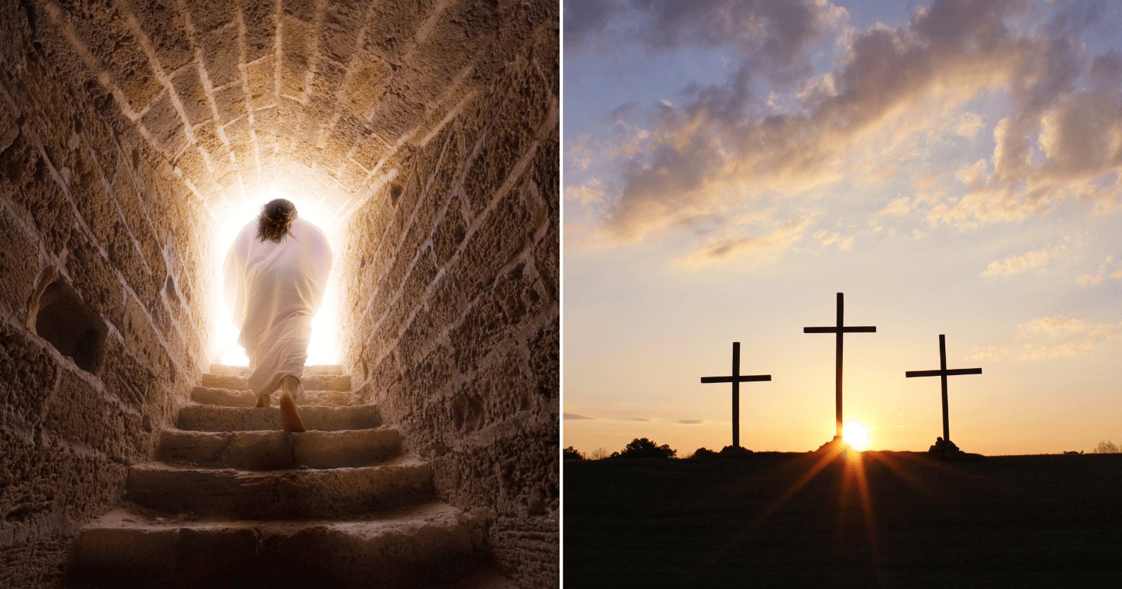 A ressurreição de Cristo é sua esperança: leia 1 Pedro 1:3