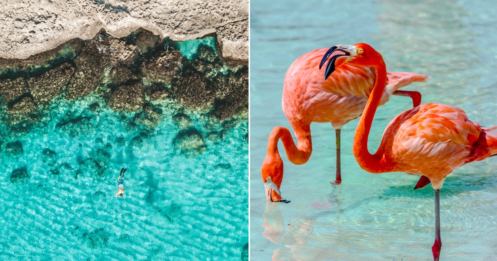 10 motivos para viajar à Aruba e ter uma experiência doce de viagem (Imagens: Unsplash)