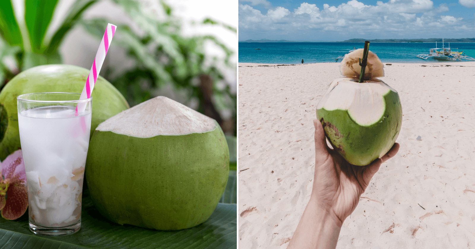12 benefícios da água de coco e 1 cuidado indispensável para ter saúde plena