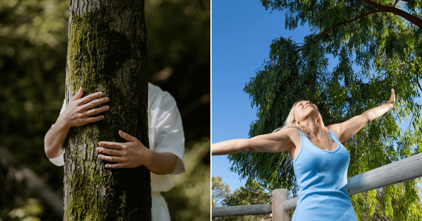 9 hábitos para aproveitar o Dia da Árvore e te mostrar como é benéfico o contato com a natureza