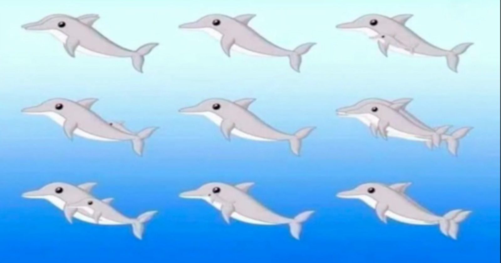 Quantos golfinhos há nessa ilusão de ótica? Esse desafio vai travar sua mente