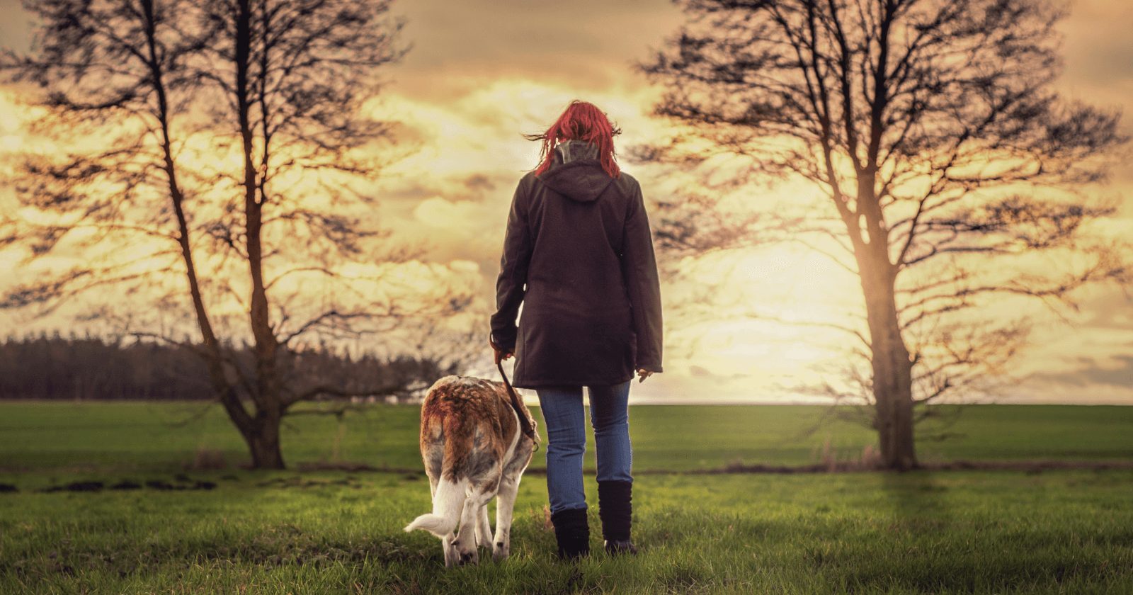 10 benefícios que o HUMANO recebe ao levar o seu cão para passear todos os dias