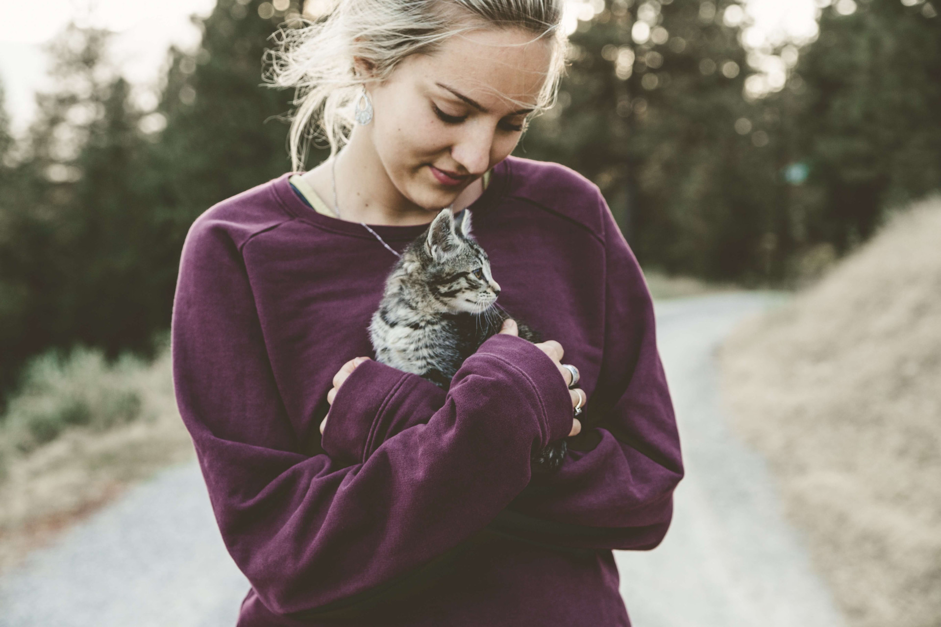 17 de fevereiro: Dia Mundial do Gato e 6 motivos para adotar um felino hoje