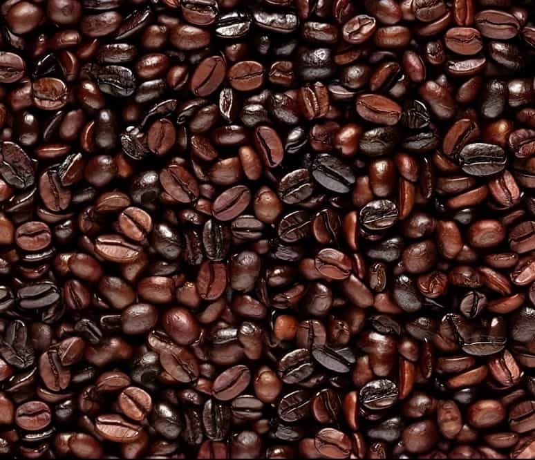 Face oculta: Você tem 8 segundos para encontrar o rosto escondido nos grãos de café (Imagens: REDDIT)