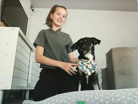 Anjo disfarçado: Menina resgata cachorro ferido em dia de chuva e história tem desfecho feliz (Imagens: Instagram)