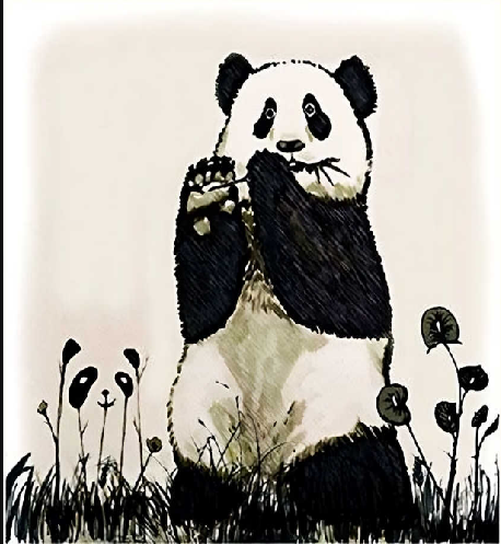 Quantos pandas existem na imagem? Você tem menos de 5 segundos para descobrir (Imagens: Jagran Josh)