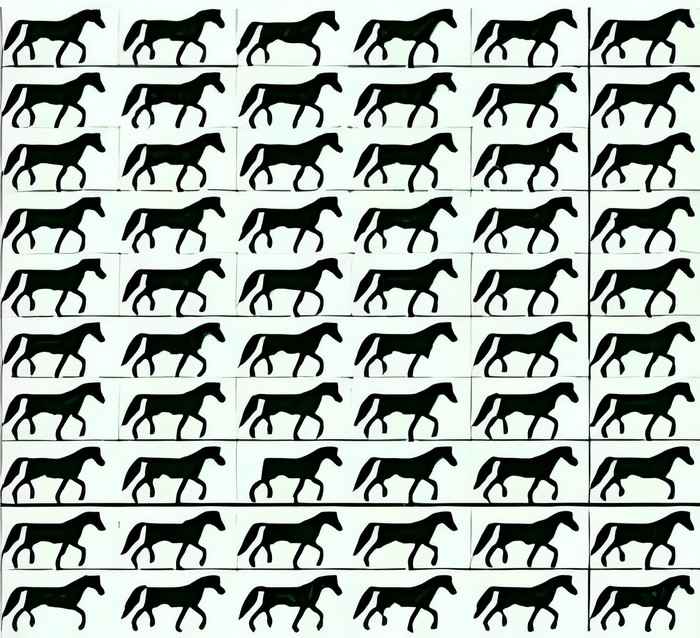 DESAFIO: você tem 5 segundos para encontrar o cavalo sem cauda (Imagens: Jagran Josh)