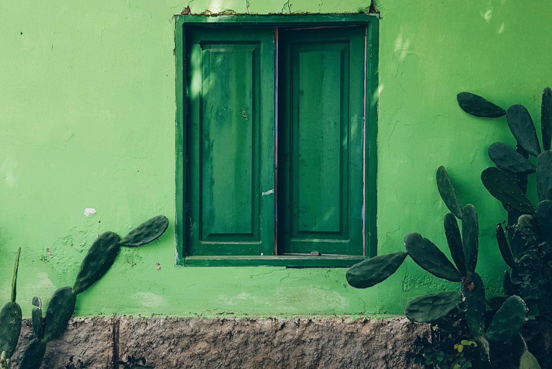 A cor verde transmite equilíbrio, harmonia e esperança.