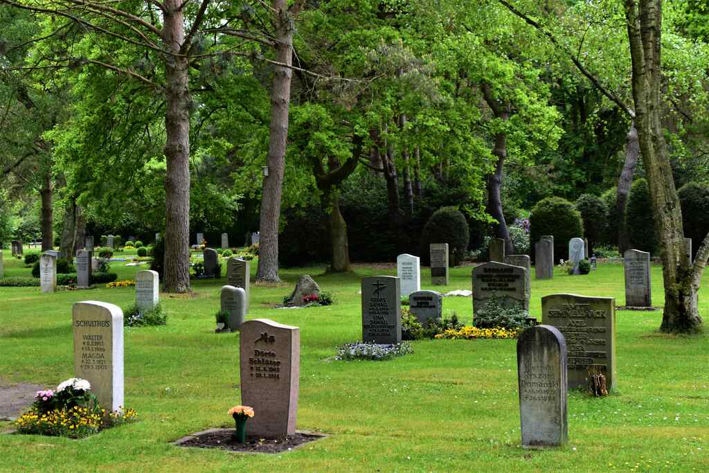 sonhar-com-cemitério-e-reconciliação